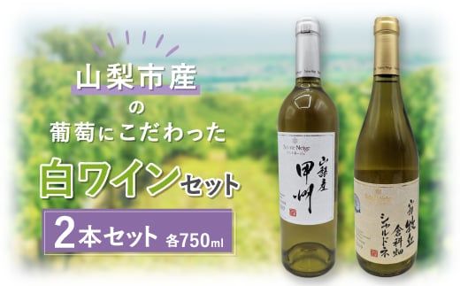 ＜山梨市産＞白ワインセット(2)【1490196】
