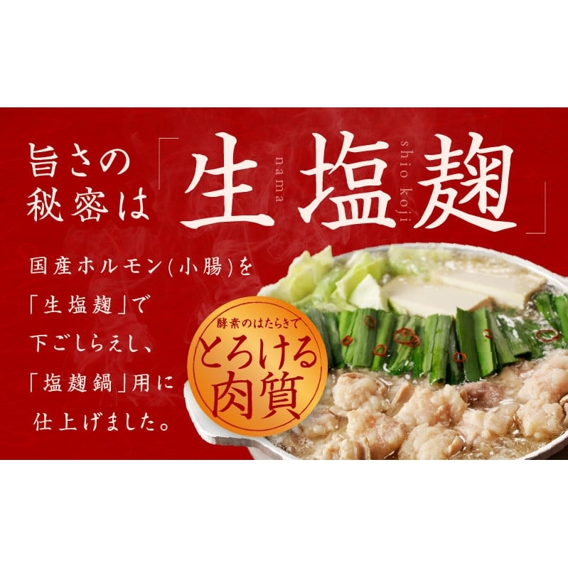 牛もつ鍋セット 15人前【国産 牛肉 ホルモン 塩こうじ スープ付き モツ 鍋 高評価 冷凍 鍋セット 簡単調理】 015B570_イメージ4