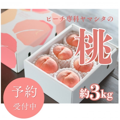 
                  【2026年7月発送開始】桃の産地山梨からお届け　ピーチ専科ヤマシタの桃　3kg【1707806】
                