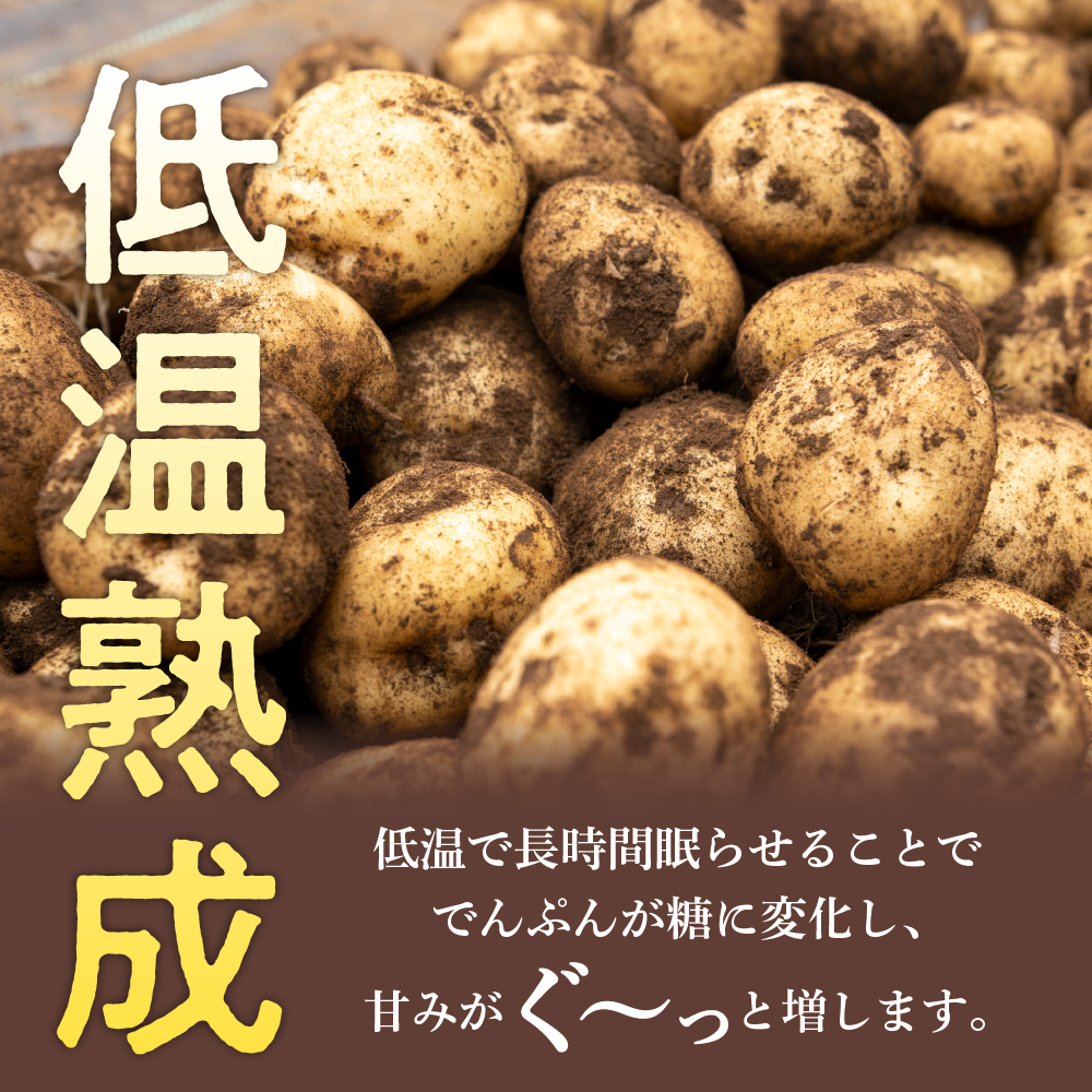 【先行受付】【2025年2月より順次発送】北海道十勝芽室町 なまら十勝野の雪室熟成越冬インカのめざめ5kg me001-005c