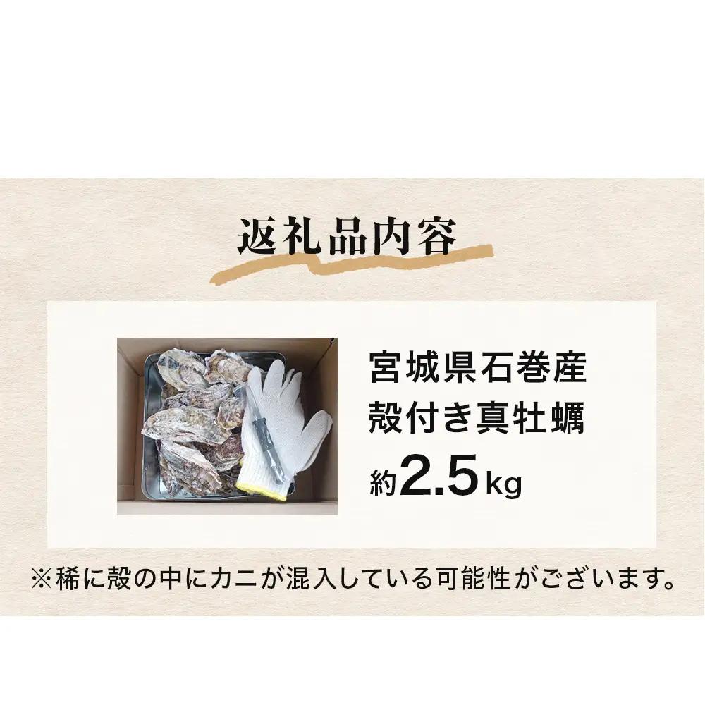 牡蠣 ガンガン焼き 2.5kg 宮城県産 加熱用 真牡蠣 かき カキ 蒸し牡蠣 貝 貝類 海産物 魚介類 海鮮 冷凍 宮城県 宮城 石巻市 石巻