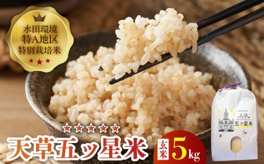 
                  S061-010_令和8年産 特別栽培米 天草五ッ星米 玄米 5kg【先行受付】
                