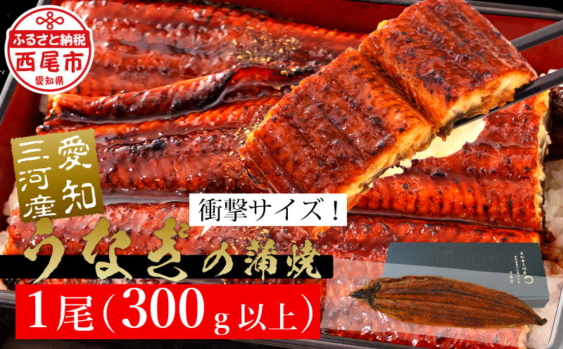 
【土用の丑の日までにお届け】規格外サイズ！とても大きな三河産うなぎ「蒲焼き冷凍×1尾（300g以上）」蒲焼 ウナギ 国産うなぎ 鰻 蒲焼 愛知県 西尾市 愛知養魚 本格うなぎ 丑の日 土用の丑の日・A135-14
