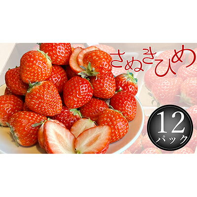 【ふるさと納税】さぬき姫いちご　12パック(1パック約250g)　お届け：2026年2月上旬～2026年4月下旬