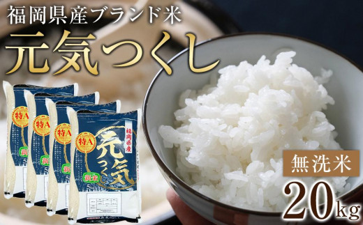 ＜令和7年産＞福岡県産ブランド米「元気つくし」無洗米20kg ＜筑前町＞【米 ブランド米 ブランド 白米 元気つくし 令和7年産 20kg 20キロ 無洗米 家庭用  お取り寄せ お土産 福岡県産 取り寄せ グルメ 福岡県 筑前町 CE004】