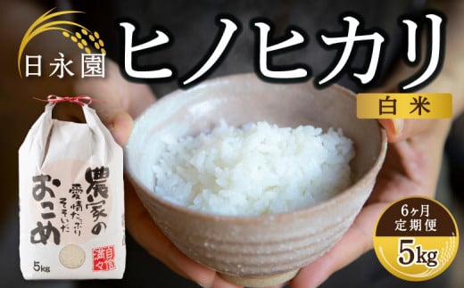 【6ヶ月定期便】日永園 ヒノヒカリ 白米5kg×6ヶ月 【2025年11月下旬より発送予定】 米 お米 ご飯  うきは市