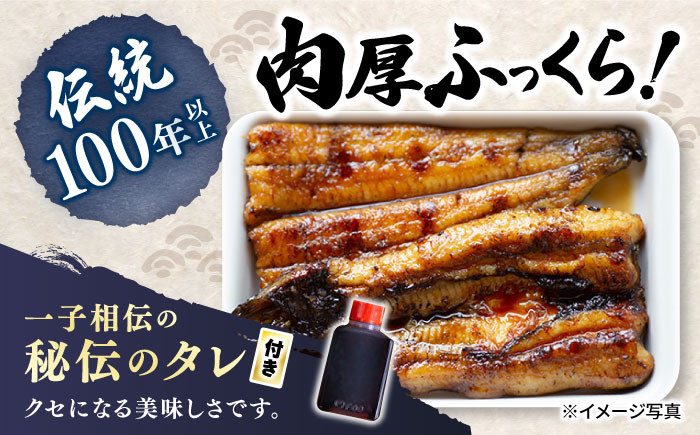 国産 うなぎ 3匹