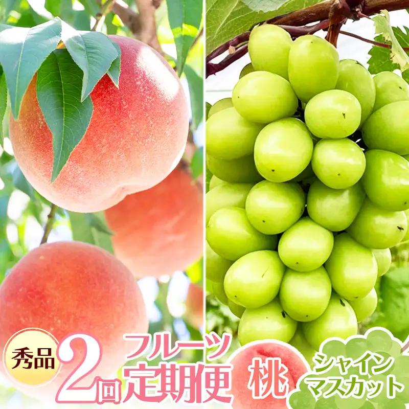 【先行予約】令和8年産 フルーツ 2回 定期便 桃 シャインマスカット 秀品 山形県産 【2026年8月上旬頃から発送開始予定】※配送不可 沖縄・離島　017-B-RF008