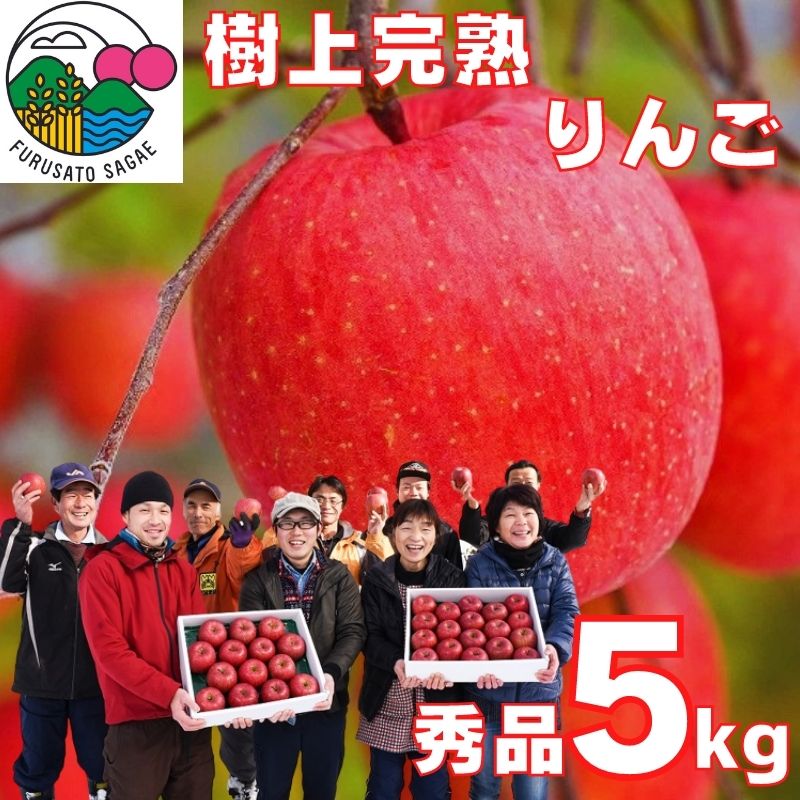 【ふるさと納税】令和7年産 樹上完熟りんご「サンふじ」 5kg（14〜18玉） 秀品 2025年産 山形県産 【2025年12月上旬頃〜下旬頃発送予定】 お取り寄せ ご当地 特産 産地直送 果物 フルーツ 林檎 リンゴ デザート おやつ 製菓 東北 5キロ