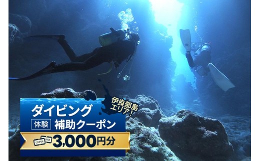 『ダイビング体験補助クーポン（3,000円分）』沖縄県・宮古島(HWM01)