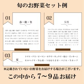 【定期便3ヶ月】旬の 野菜 詰め合わせ 7～9品 産地直送