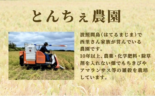 沖縄県波照間島産　日本最南端の島から贈る『もちきび』400g×1袋　とんちぇ農園（農薬・化学肥料不使用）【もちきび 波照間島 沖縄 農薬不使用 国産 雑穀】