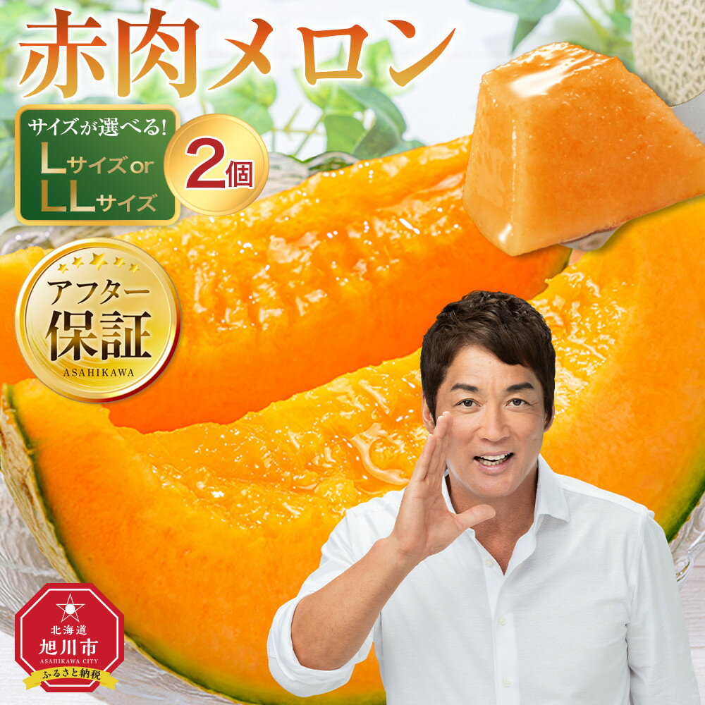 先行予約 北海道「赤肉メロン」L玉×2個（2023年7月中旬発送開始予定 | メロン 赤肉 果物 フルーツ 大人気 高評価 ランキング 糖度 2玉 デザートお取り寄せ 旭川市ふるさと納税 北海道ふるさと納税 旭川市 北海道 送料無料