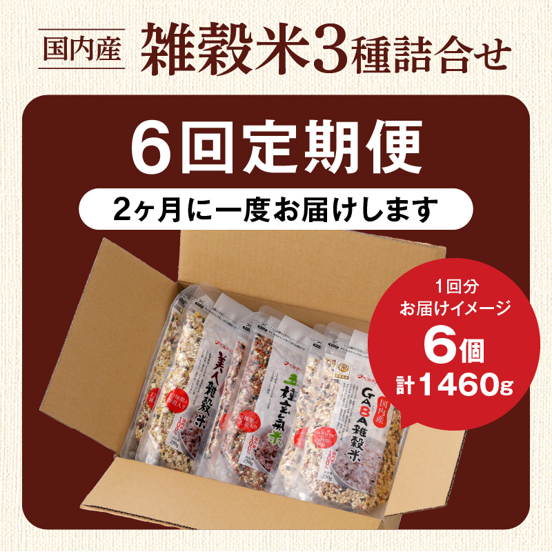 【隔月6回　定期便】国内産 雑穀米3種詰め合わせ （GABA雑穀米・美人雑穀米・五種玄氣雑穀米　各2個）_米 雑穀米 おいしい 3種 6パック 詰め合わせ セット 1460g 隔月 定期便 6回 国内