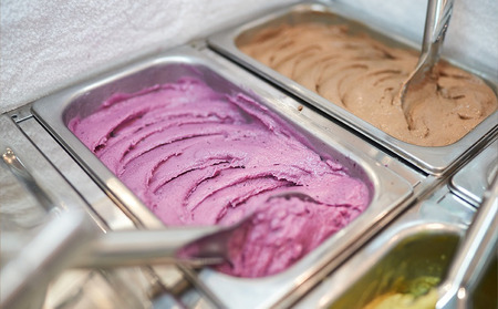 夢の樹ジェラート おまかせ 4個 セット 【 ジェラート アイス 冷凍 人気 詰め合わせ ギフト 夢の樹マルシェ 木村屋 】