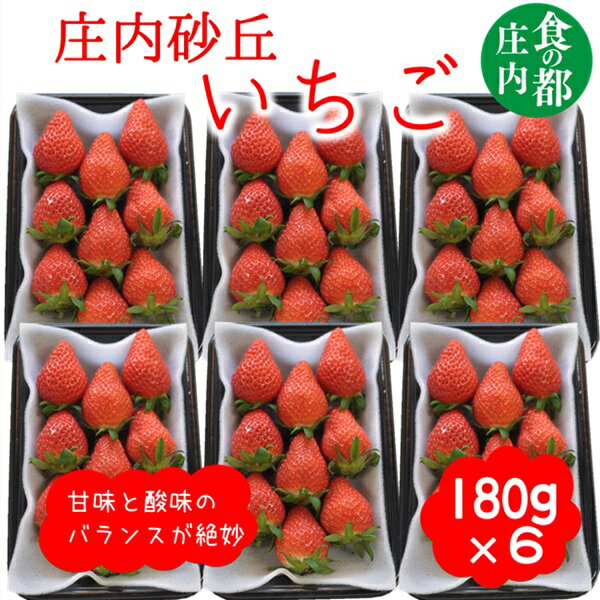 【ふるさと納税】食の都庄内　庄内砂丘のいちご6パック（2L～L）やや小粒も含む※1月中旬頃～順次配送（有限会社庄内旬青果）