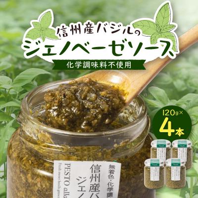 ふるさと納税 中野市 朝採れ信州産バジルのジェノベーゼソース 120g×4本