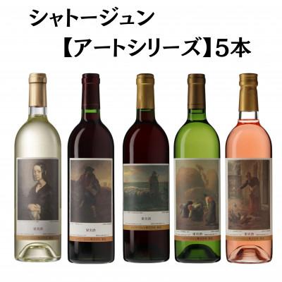 ふるさと納税 甲州市 シャトージュン　【アートシリーズ】5本　E-481