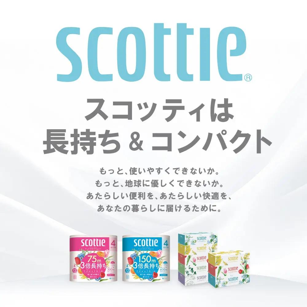 スコッティ ティッシュ 250組 10箱 ティシュー