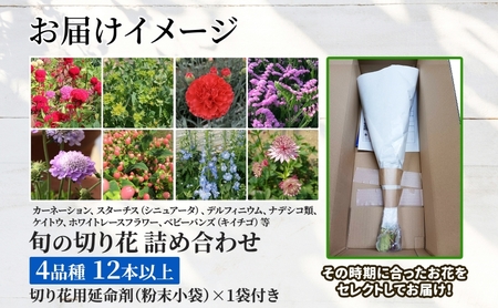 ＜選べる配送月＞ 北海道 花 詰め合わせ 4品種 12本以上 切り花 切花 花束 ブーケ 季節 旬 生花 フラワー アレンジメント 記念日 産地直送 つきがたふるさと花の会 11月お届け