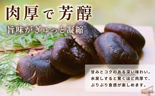 無農薬 原木栽培 肉厚 とよくに清流 ほししいたけ 80ｇ しいたけ 椎茸 シイタケ 原木椎茸 野菜 きのこ 無農薬栽培 干ししいたけ 乾燥しいたけ 干し椎茸 バーベキュー お試し 煮物 -244