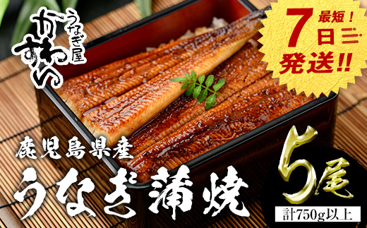 【7営業日以内に発送！】＜うなぎ屋かわすい＞鹿児島県産 国産うなぎ蒲焼 (計750g以上 / 1本あたり150～169g×5本) タレ入り 鰻 うな重 かばやき【川口水産】A857