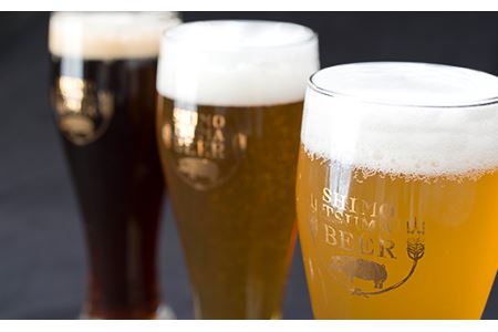 クラフトビール × おつまみ セット 【 しもつまビール 3種×1本330ml ウインナー ホルモン 】