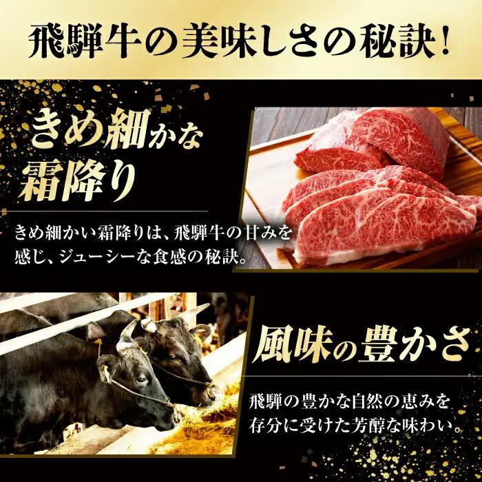 飛騨牛 ステーキ用計500g / 浅井商店[AWBJ007] 飛騨牛