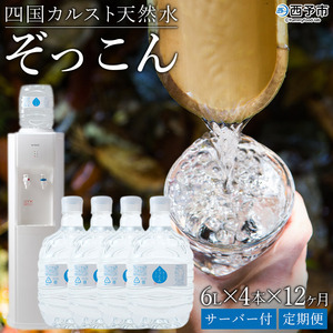 四国カルスト天然水ぞっこん 定期便（毎月6L×4本 1年間）レンタルウォーターサーバー付 NZS0014