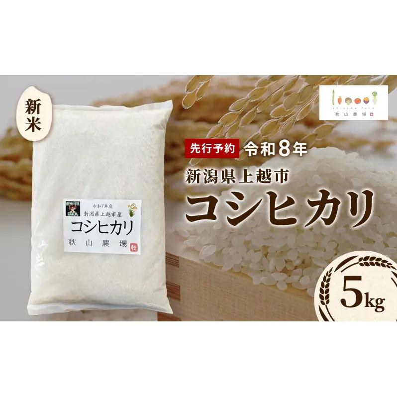 【先行予約】新米 コシヒカリ 5kg 秋山農場 コシヒカリ