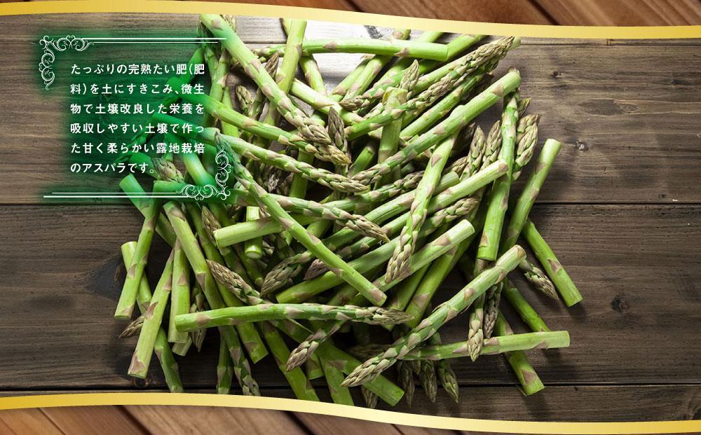 露地物朝採りアスパラ　鮮度保持フィルム入り　Lサイズ　400g×2　合計800g_03818