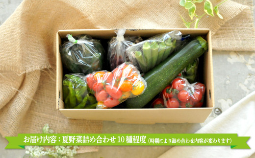 《令和7年分》数量限定！季節のお野菜詰め合わせ 夏(配送時期：7月～8月)【01017】