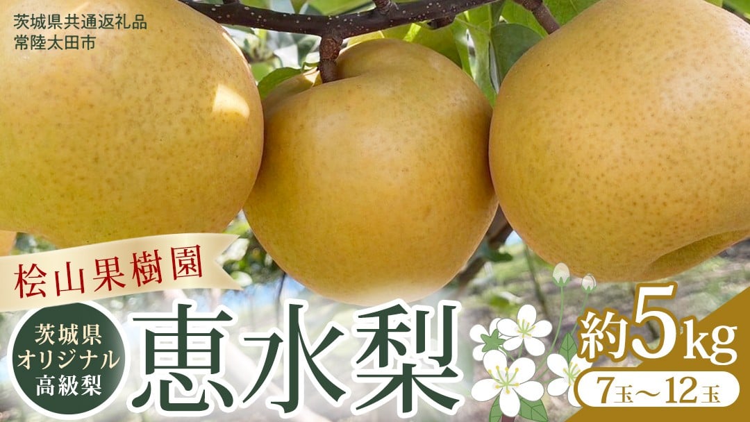 
             茨城県 オリジナル 幻の 高級梨 『 恵水 』 約 5kg 7玉 ～ 12玉 【茨城県共通返礼品／常陸太田市】 桧山果樹園 農家直送 桧山果樹園 農家直送 フルーツ  甘い 直送 茨城 限定 ギフト 梨 恵水 けいすい 果物 [DU008sa]
          