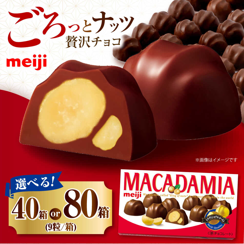【ふるさと納税】【選べる容量】明治 マカダミアチョコレート 9粒 お菓子 おやつ 菓子 チョコレート チョコ ナッツ マカダミア マカダミアナッツ 大容量 箱 小分け シェア 個包装 個袋 人気 おすすめ おいしい 定番大阪府高槻市/株式会社 丸正高木商店[AOAA035]