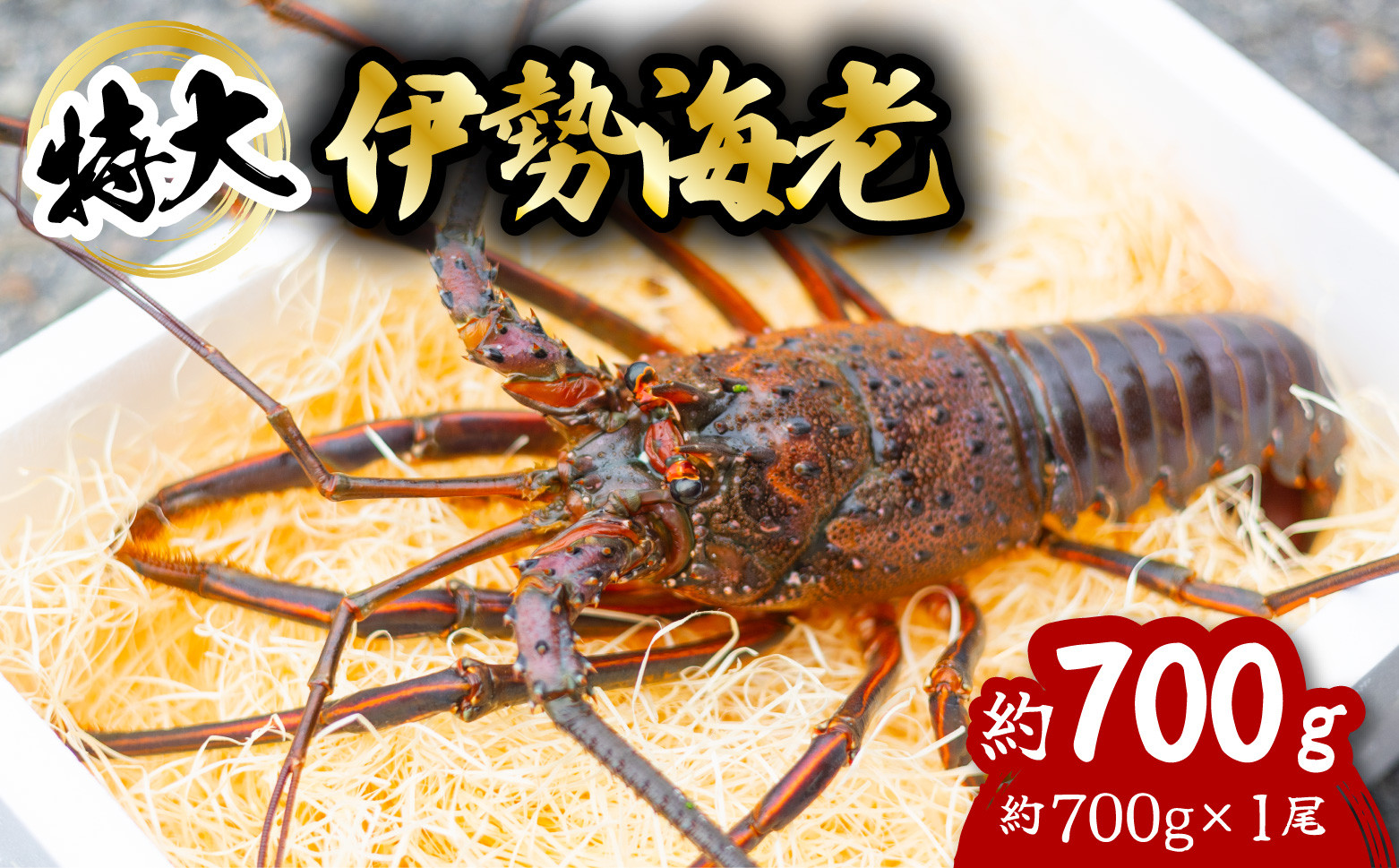 
            伊勢海老 特大 約700g 約700g×1尾 伊勢えび 伊勢エビ いせえび イセエビ 海老 えび エビ 海鮮 海産物 海の幸 おせち 高級 国産 海鮮 ギフト
          