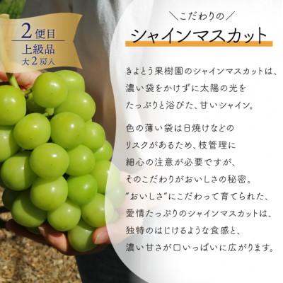 ふるさと納税 津山市 【発送月固定定期便】【2026年先行予約】厳選された大玉桃3玉と大粒シャインマスカット定期便!全2回 |  | 02