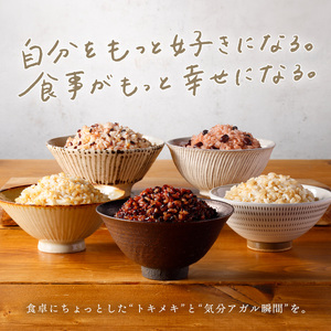 【 ご飯パック 】 金賞 健康米 食べ比べ 恵みの4種セット 120g×60個入り