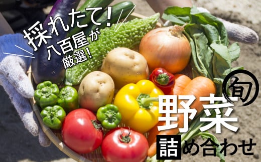 
目利きのプロ 八百屋厳選 野菜詰め合わせセット（8～10種類お届け）　H151-010
