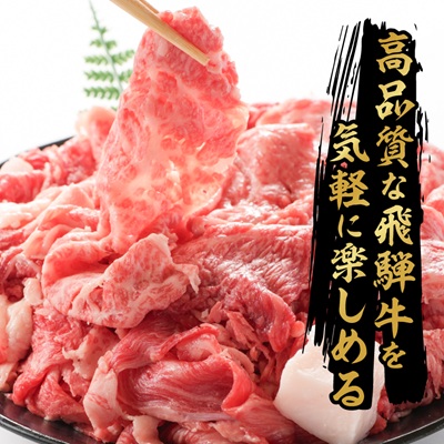【訳あり】飛騨牛　切り落とし(コマ切れ)700g【配送不可地域：離島】
