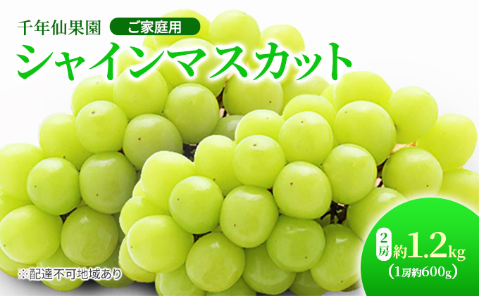 【2025年先行予約】 ぶどう 岡山県産 シャインマスカット 2房 約1.2kg（1房約600g） 千年仙果園《2025年8月下旬-10月上旬頃出荷》 葡萄 ブドウ 岡山県産 フルーツ 果物 数量限定 期間限定 岡山 里庄町