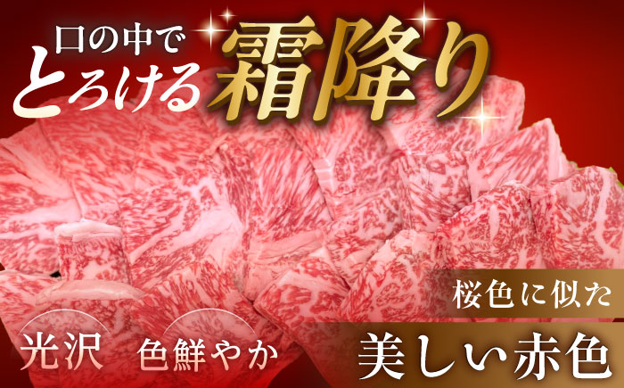 【チルド（冷蔵）発送！】 「飛騨牛」 A5等級 ロース 500g / 牛肉 焼肉 鉄板焼き 網焼き BBQ / 恵那市 / 東美濃農業協同組合 [AUFX008]