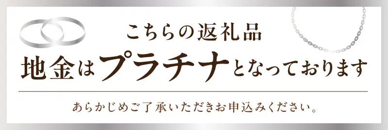 Pt900 蝶モチーフピアス（PE8097）