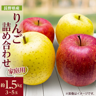 家庭用 2025年発送 りんご サンふじ＆シナノゴールド 詰め合わせ 約1.5kg(3～5玉程度)【1577919】
