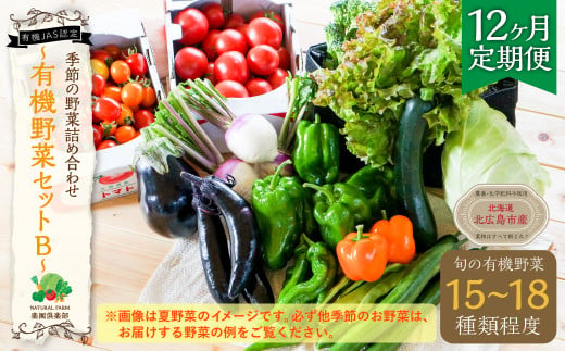 【12ヶ月定期便】有機JAS認定 季節の野菜 詰め合わせ 有機野菜セットB 15〜18種類 旬の野菜 12回 オーガニック おまかせ 野菜 定期 栽培期間中農薬･化学肥料不使用 新鮮 国産 冷蔵 北海道 北広島市