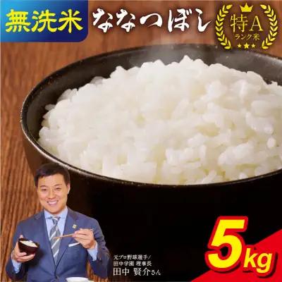 【新米予約】【11月発送】 令和8年産 うりゅう米 5kg ななつぼし 無洗米