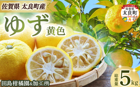 田島柑橘園&加工所のゆず(黄色)5kg　 柚子 フルーツ 果物 柑橘 黄色 果皮 果汁 柚子胡椒 デザート 佐賀県 太良町 ND18
