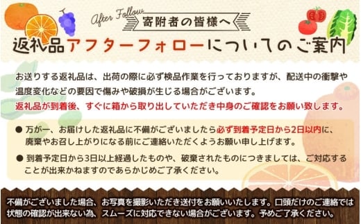 【訳あり】手選別 極早生みかん 約6kg 和歌山県産 2S~2Lサイズ混合 ※2025年10月上旬～下旬頃に順次発送【mrmt004】