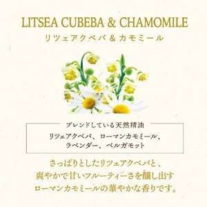 木と果 消臭クリップ リツェアクベバ ＆ カモミール 晴香堂 車用 芳香剤 フレグランス