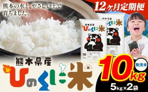 【12ヶ月定期便】 無洗米 ひのくに米 10kg 《お申込み翌月から出荷》 食品 米 こめ コメ 熊本県産 ふるさと納税 お米 おこめ 熊本