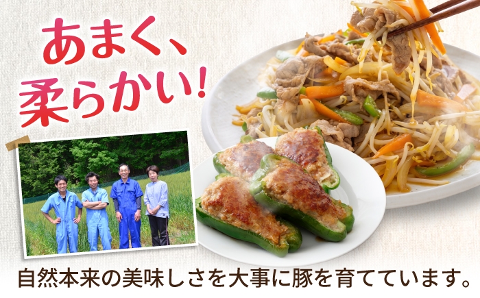 国産 豚肉 セット 豚こま 豚バラ バラ肉 薄切り 豚ミンチ 国産 国産豚肉 大容量 小分け 無薬 無薬育ち 豚こま 豚バラ